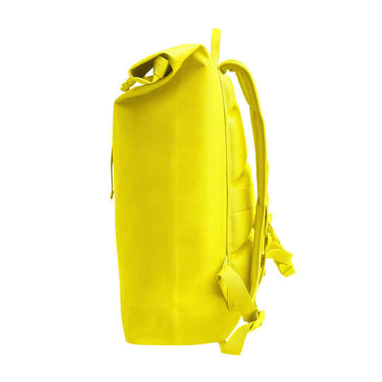 YELLOW-TANG 
