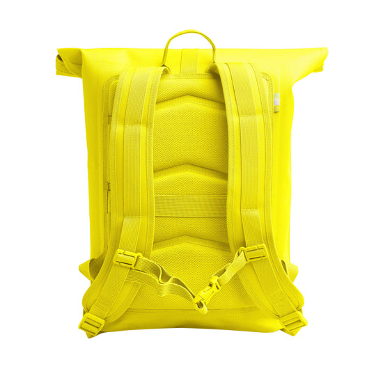 YELLOW-TANG 